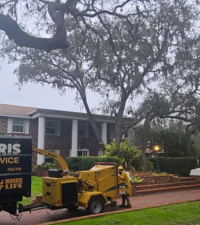 tree-trimming-services-pasco-county-florida