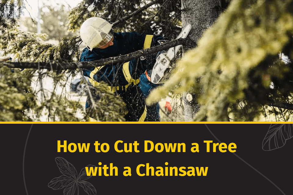 how to cut down a tree with a chainsaw