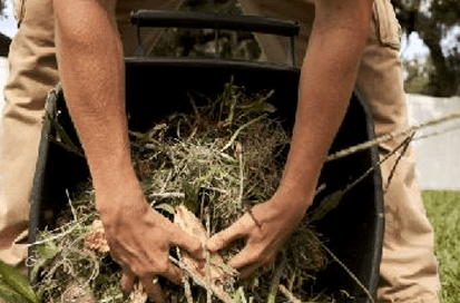 Property Clean-ups & Manicures