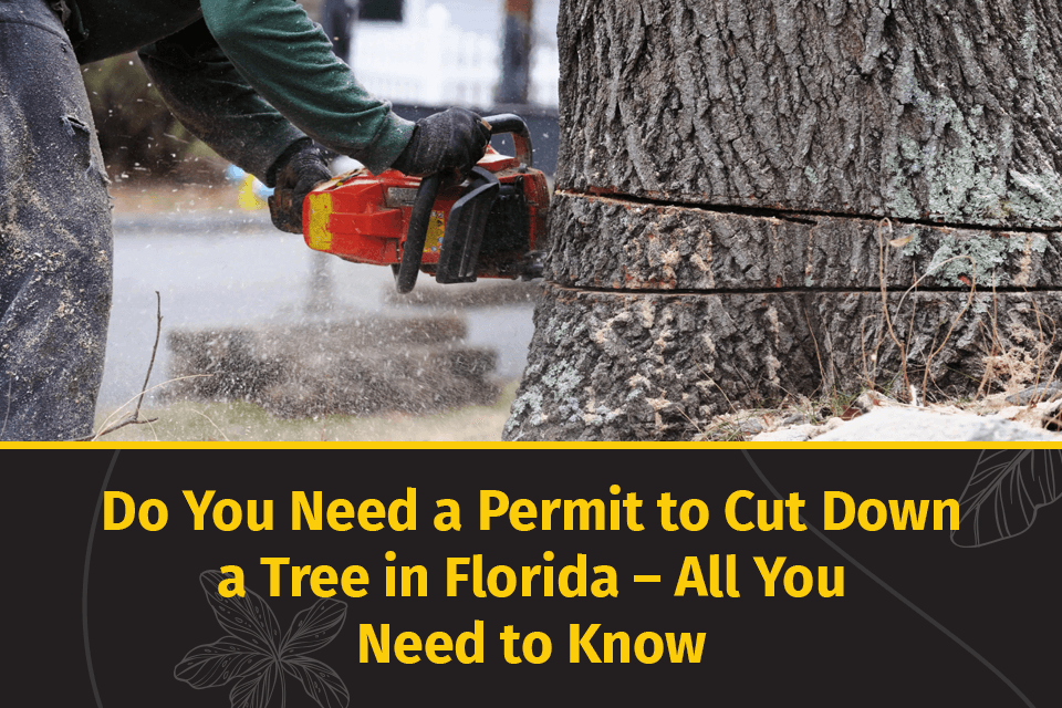 do you need a permit to cut down a tree