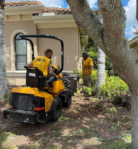 tree removal in Zephyrhills, FL