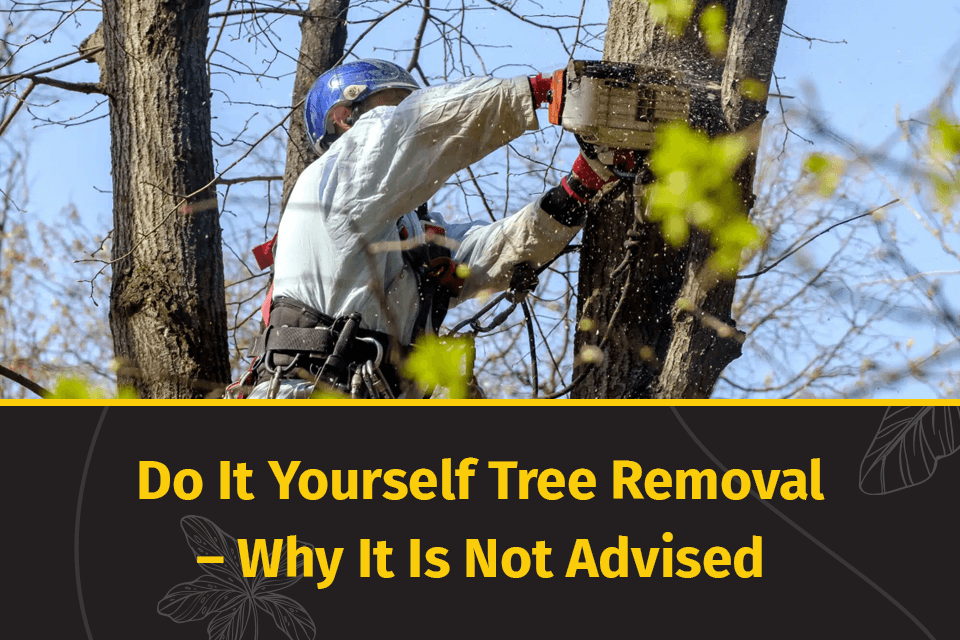 do it youself tree removal