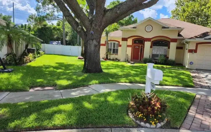 landscaping services