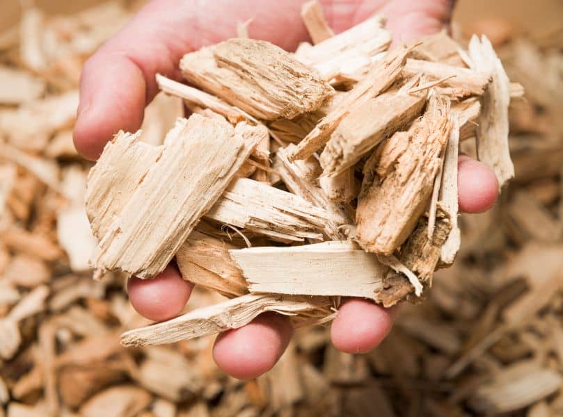 Wood chips in yard