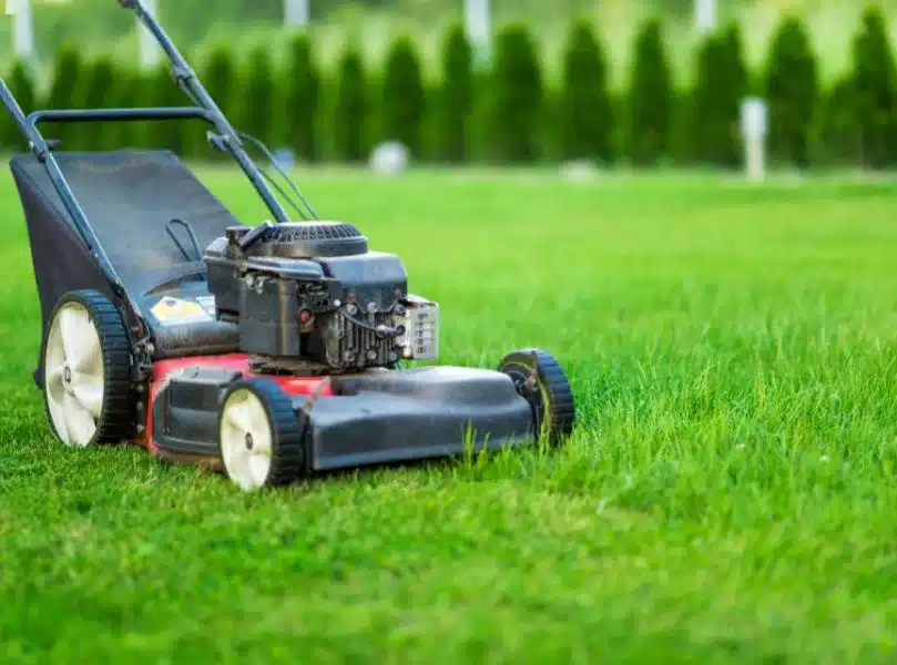 Lawn Care