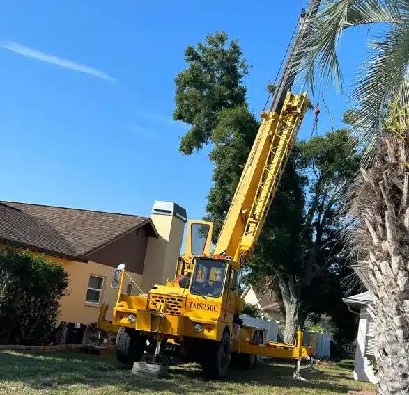 Stump Grinding in Brooksville