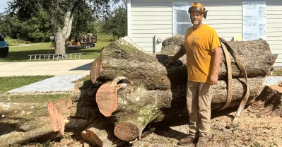 oak tree services removal